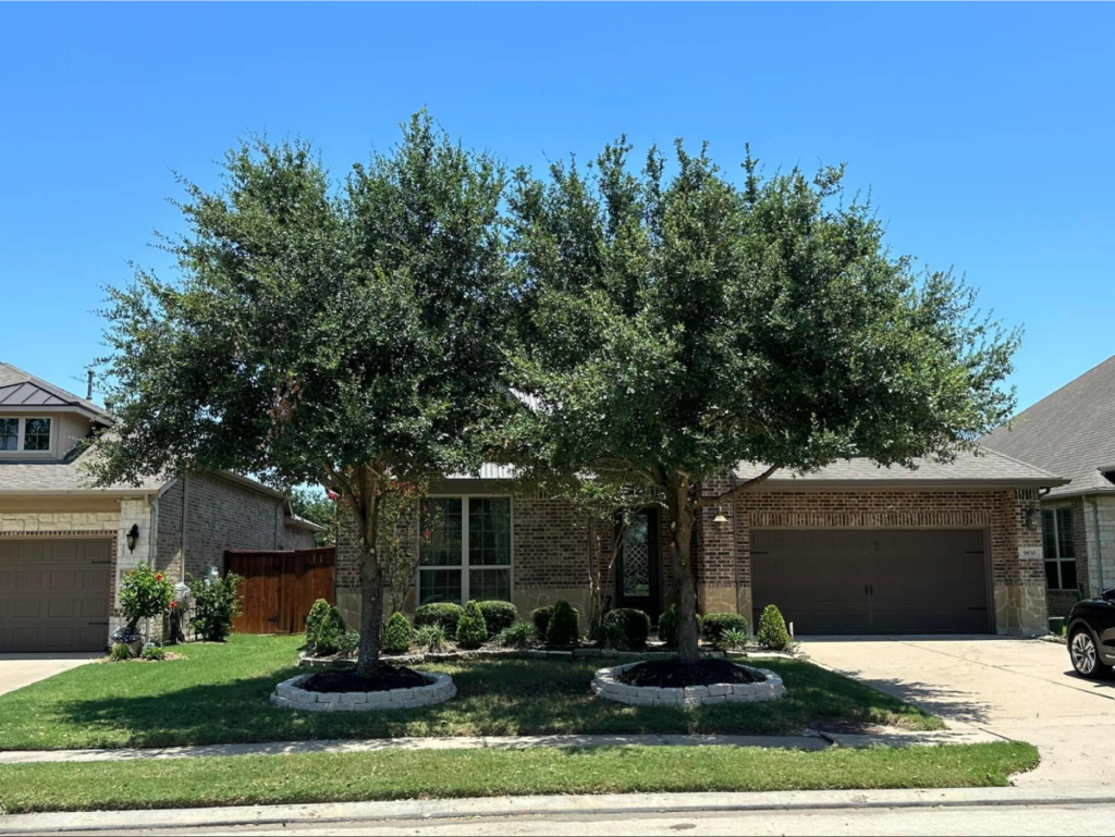 Suburban house with two large trimmed oak trees in the front yard.