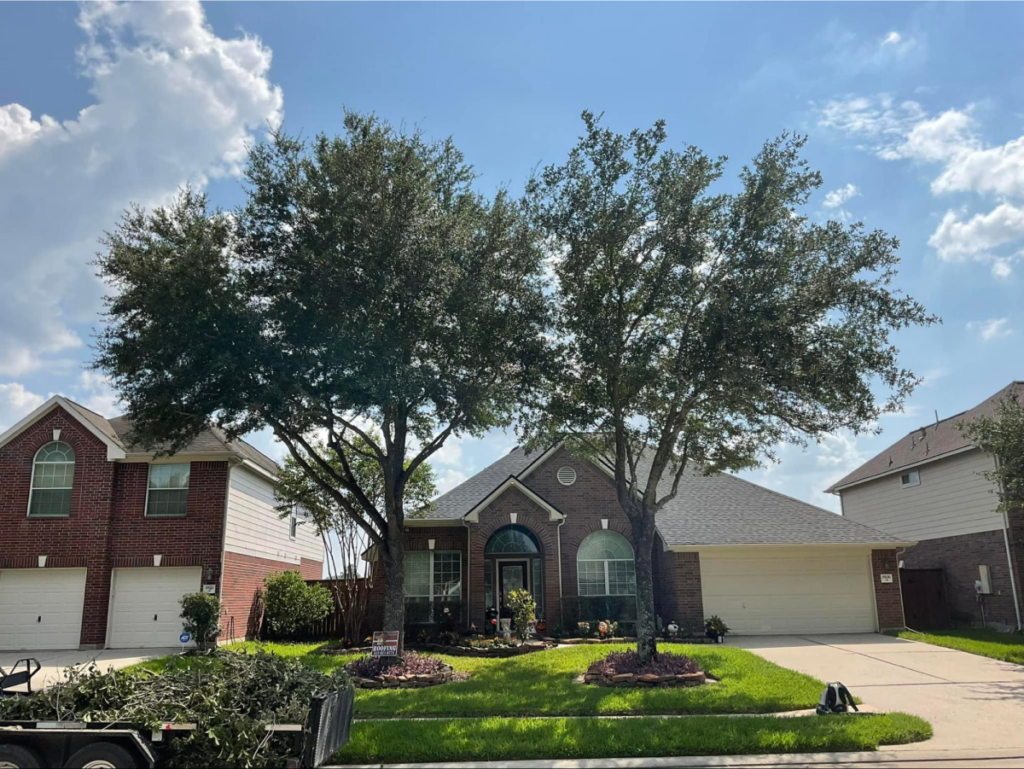 Single-story house with two freshly pruned trees in the front yard.