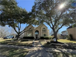 How Much Does Tree Trimming Cost?