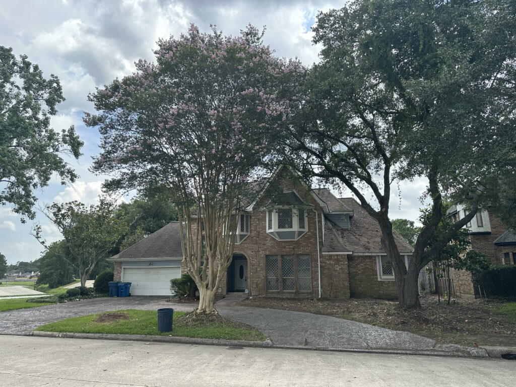 House with trees in the front yard and a gravel driveway.